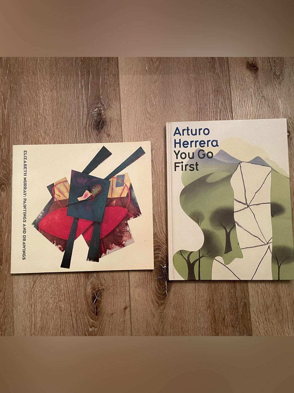 Arturo herrera and elizabeth murray art painting book bundle